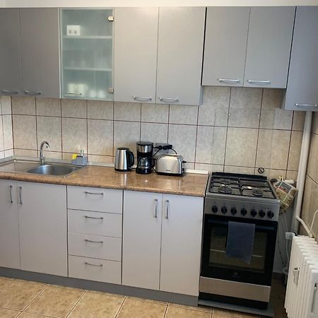 Victoriei Boulevard Private Apartment Brassó Kültér fotó