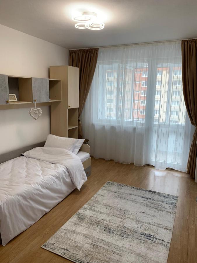 Victoriei Boulevard Private Apartment Brassó Kültér fotó