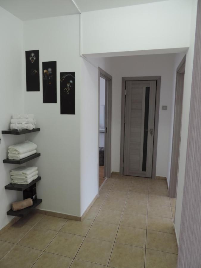 Victoriei Boulevard Private Apartment Brassó Kültér fotó