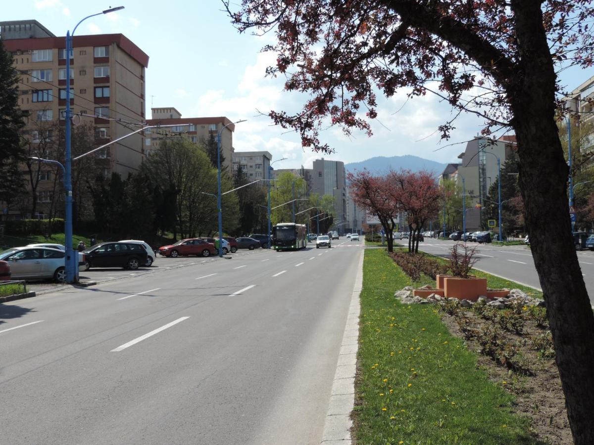 Victoriei Boulevard Private Apartment Brassó Kültér fotó