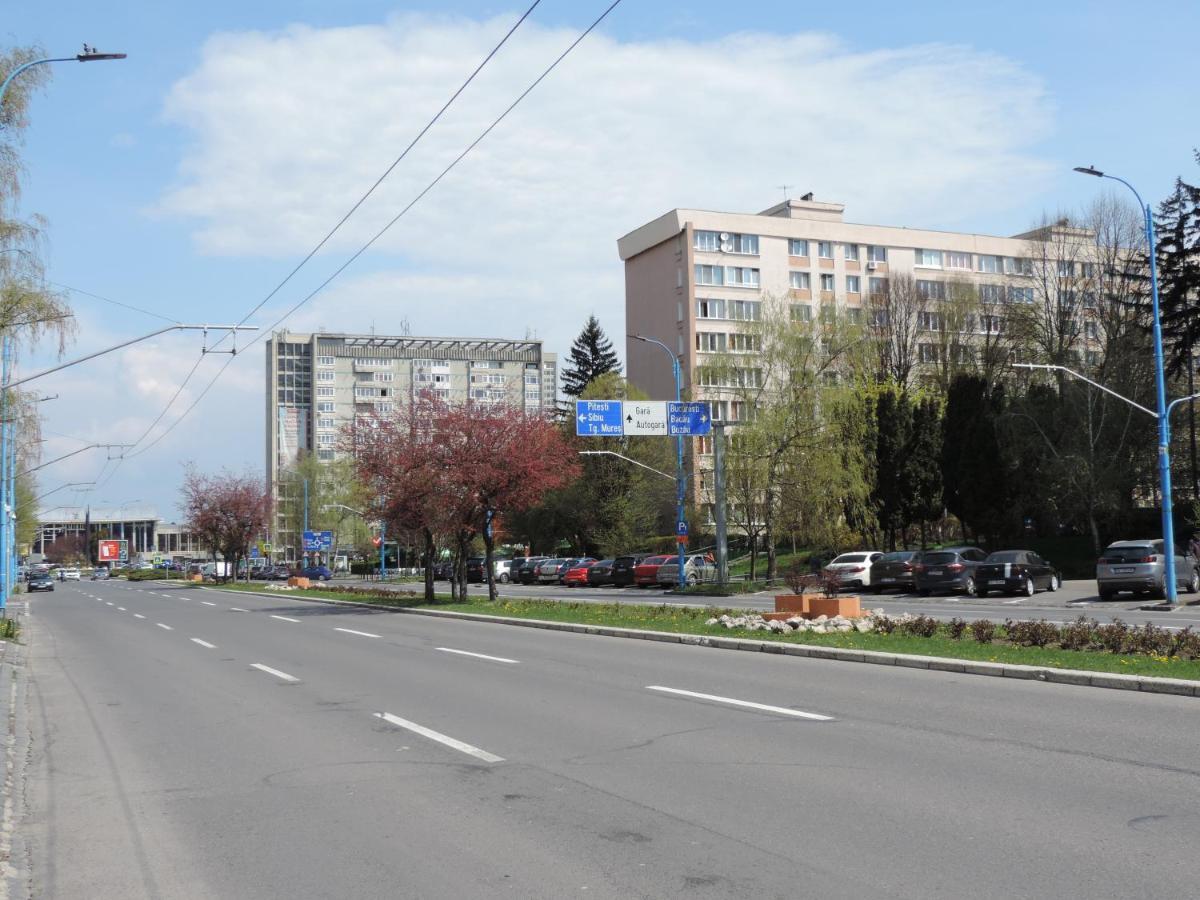 Victoriei Boulevard Private Apartment Brassó Kültér fotó