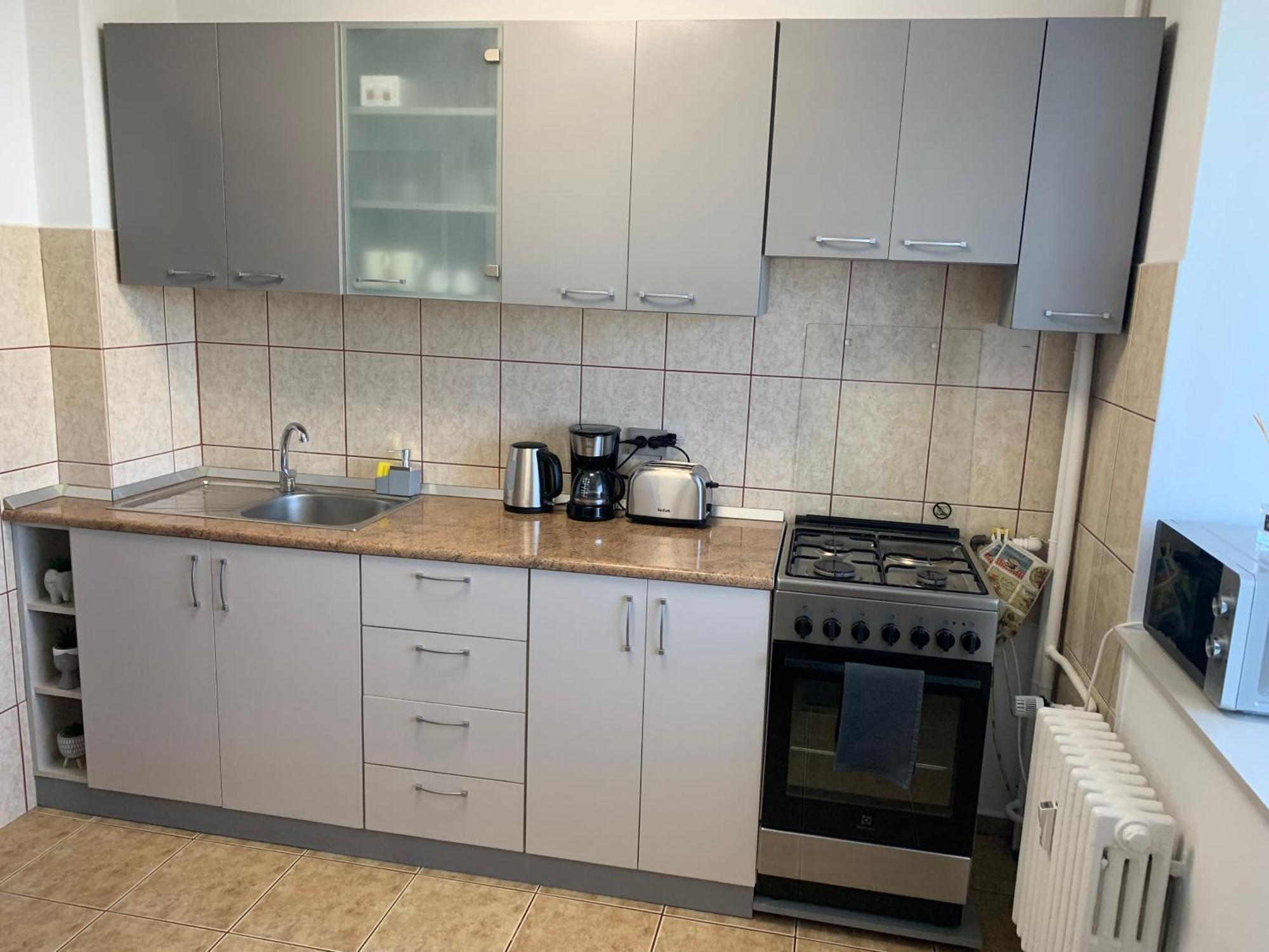Victoriei Boulevard Private Apartment Brassó Kültér fotó