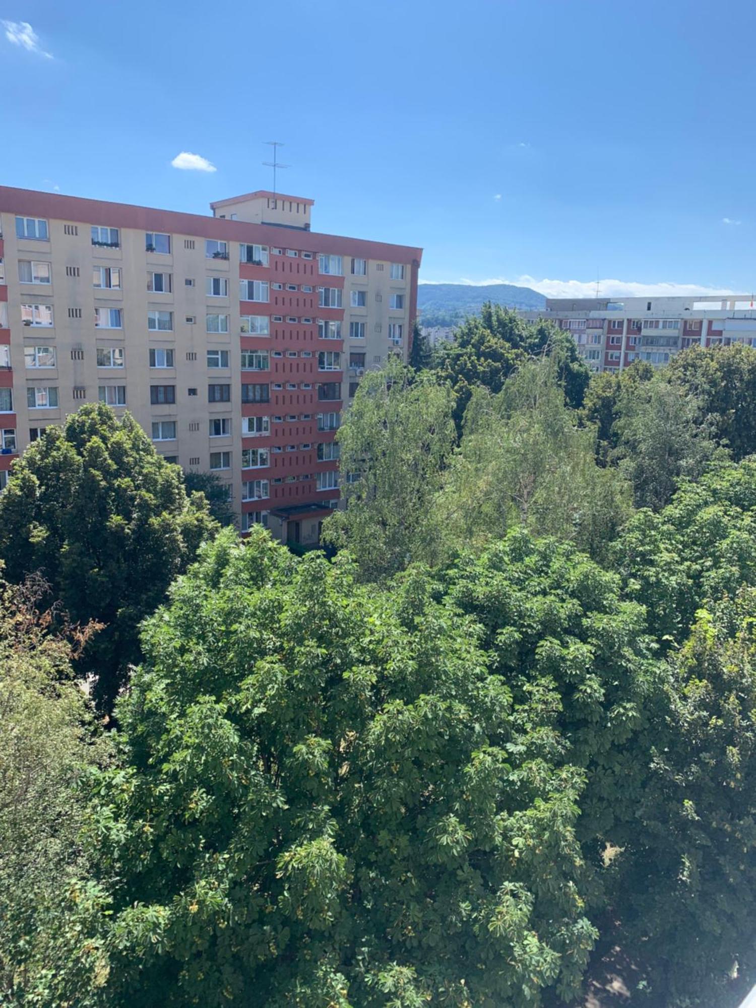 Victoriei Boulevard Private Apartment Brassó Kültér fotó